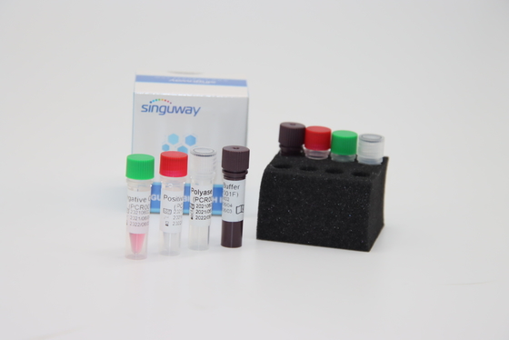 Boca Virus HBoV RT PCR Swab Test Zestaw ISO9001 Ilościowy test fluorescencyjny PCR Zestaw