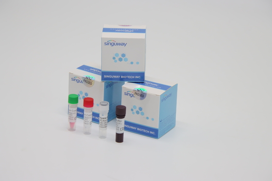 Lab Reagent RT PCR Test Zestaw Wysoka stabilność do wykrywania wirusa Varicella Zoster VZV