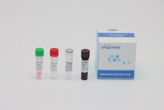 Zestaw testowy CMV Virus RT PCR Testowanie kwasów nukleinowych w czasie rzeczywistym ISO13485