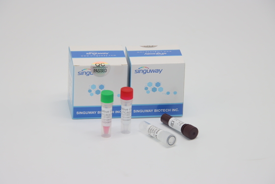 Zestaw do szybkiego testu RT PCR Ilościowa fluorescencyjna do testowania wirusa HFMD