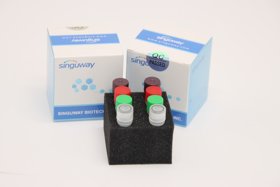Fluorescent Czas rzeczywisty HCV RT PCR Zestaw Zestaw testowy HSV2 Do użytku laboratoryjnego CE