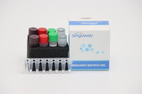 IVD Quantitative Rapid RT PCR Zestaw dla wirusa ptasiej grypy A wirusa H7N9