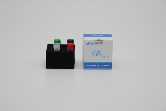 Szybki test Zestaw testowy FluA FluB Instant RT PCR Testy do kwasów nukleinowych Singuway