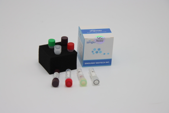 Zestaw testowy RT PCR na wirusa ptasiej grypy 48 96 testów Zestaw do wymazu z nosa