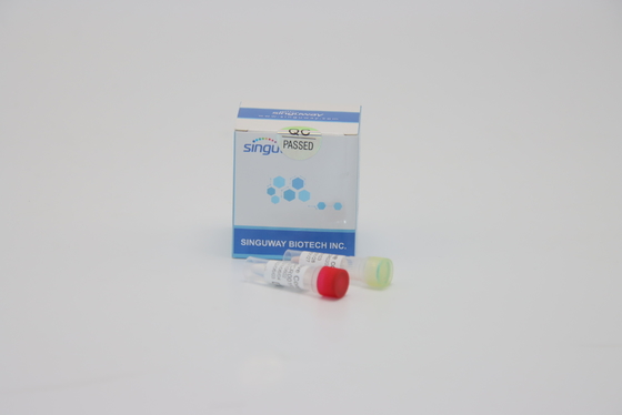 Testowanie kwasów nukleinowych Zestaw Dengue RT PCR Zestaw Fluorescencyjny zestaw RT PCR Wymaz z nosa