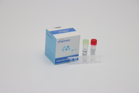 Diagnoza kliniczna Odczynniki IVD Czas rzeczywisty PCR Sondowanie fluorescencyjne One Step PCR Zestaw