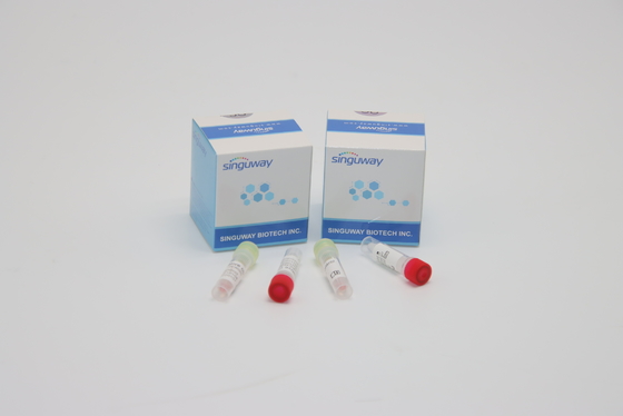 Zestaw testowy CE PCR Wymaz Zestawy testowe na zapalenie wątroby typu B i C Diagnoza kliniczna