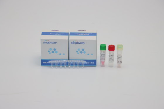Grypa A Grypa B Jednoetapowy zestaw do PCR w czasie rzeczywistym Wysoce czuły 96 testów Zestaw testowy do PCR na HIV