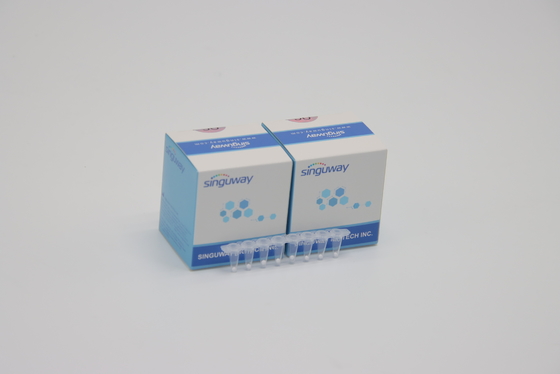 High Stability HCV Czas rzeczywisty PCR Zestaw HBV Hepatitis B Rapid Test Zestaw Odczynnik laboratoryjny ISO13485