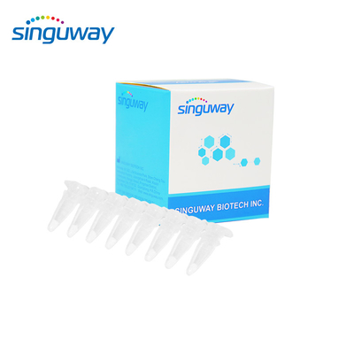 15 typów HPV Real Time PCR Kit 40uL jakościowy zestaw HPV PCR dla ludzi