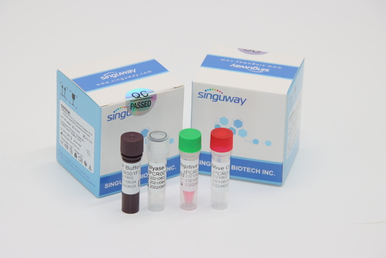 Mycobacterium tuberculosis Virus RT PCR Diagnostyczny Zestaw Wymaz z nosa w ciągu 30 minut