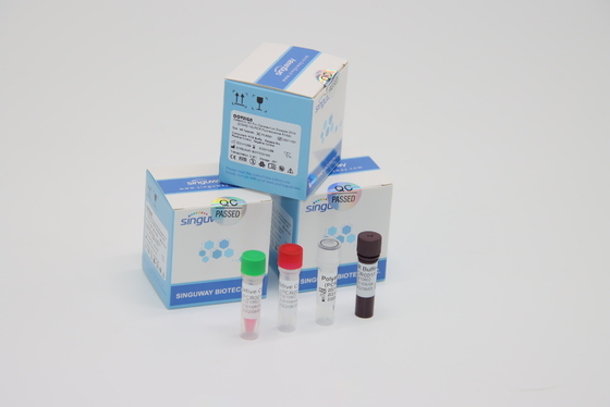 Laboratorium używające zestawów RT PCR Covid Test Clinical LP Virus PCR Media Zestaw Podwójny Swab Sample Zestaw
