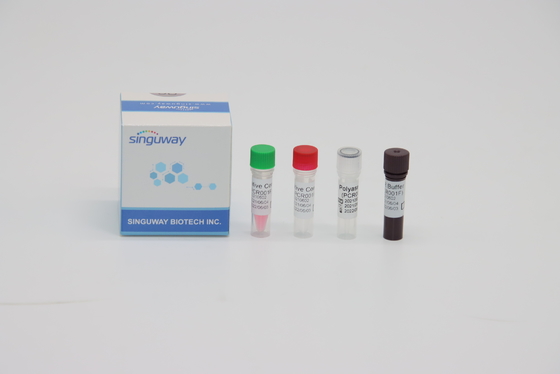 STB Virus RT PCR Test Zestaw Zestaw do szybkiego testowania kwasów nukleinowych do sondowania fluorescencyjnego