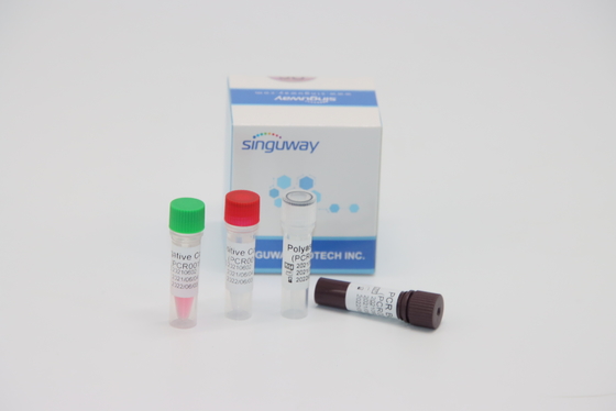 Ilościowa diagnostyka molekularna Zestaw testowy RT PCR w czasie rzeczywistym dla wirusa HPV Tox
