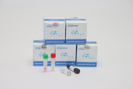 Ultraszybkie laboratorium zestawu testowego RT PCR do badania wirusa talasemii przy użyciu zestawu TB PCR