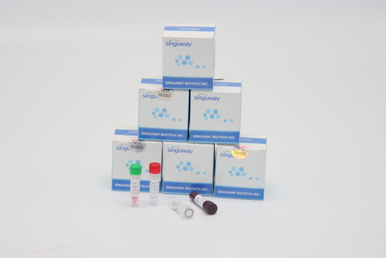 Zestaw testowy ISO9001 Fast Helicobacter Pylori Virus RT PCR Wysoka dokładność