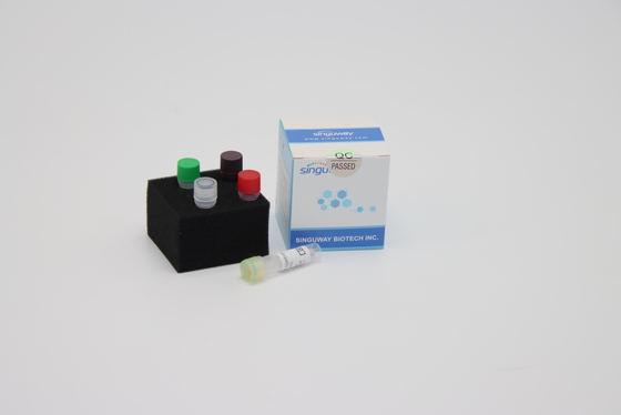 HIFi Polymerase DNA Reverse Transscription PCR Zestaw Odczynniki RT PCR Singuway
