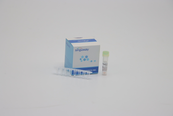 Testowanie DNA Zestaw FluA FluB PCR Wykrycie Zestaw 1 Step RT PCR Zestaw do użytku laboratoryjnego