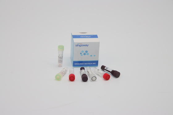 ORF1ab HPV PCR Wykrycie Zestaw Testy genetyczne kwasów nukleinowych do diagnostyki klinicznej