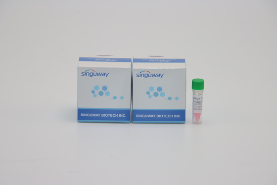 Odczynnik laboratoryjny High Precision Rapid One Step RT PCR Zestaw dla Helicobacter Pylori HP