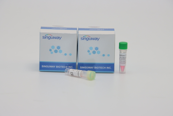 Singuway HSV II Virus PCR Wykrycie Zestaw Ilościowa fluorescencyjna do testów genetycznych