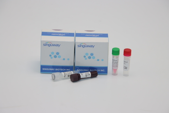Zestaw do wykrywania fluorescencji do wykrywania PCR Próbka wymazu z nosa do testowania adenowirusa ADV