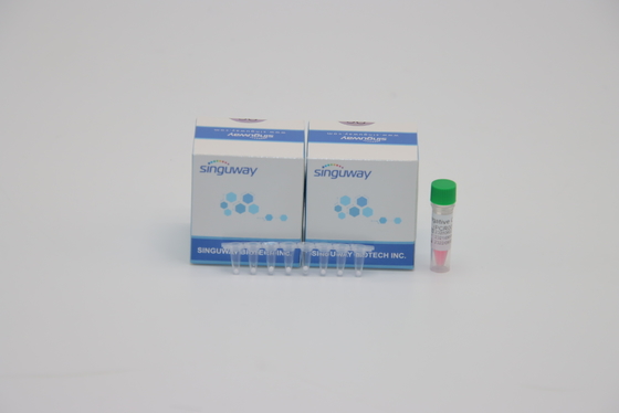Laboratorium POCT IVD Mycobacterium tuberculosis TB PCR Zestaw do wykrywania DNA Testowanie ISO9001