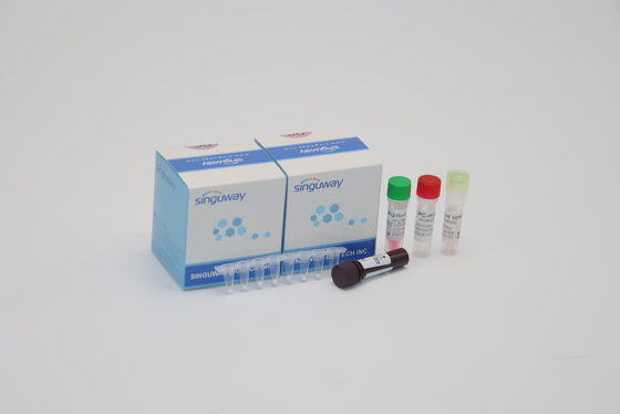 Respiratory Syncytial Viral RT PCR Diagnostyczny Zestaw Zestaw RSV PCR Wykrycie Zestaw Wymaz z nosa