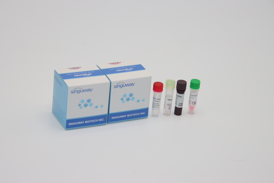 Alpha Beta Delta Gamma Mutacje Jednoetapowy zestaw QPCR Wymaz doustny do użytku laboratoryjnego