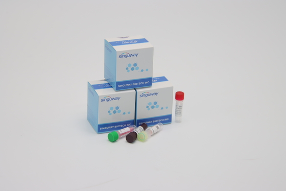 CE Coronavirus Test Zestawy diagnostyczne PCR w czasie rzeczywistym Ultraszybkie w ciągu 30 minut