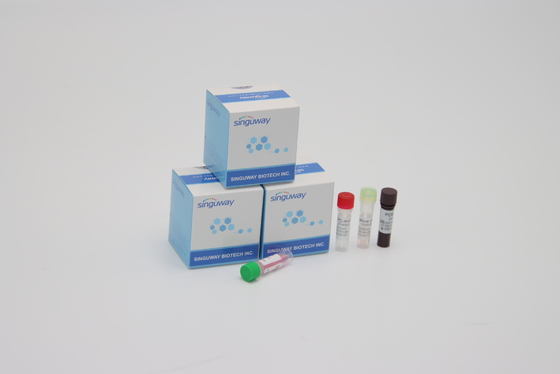 Zestaw do wykrywania PCR o wysokiej czułości Mutacje Alpha Beta Delta Gamma do użytku laboratoryjnego