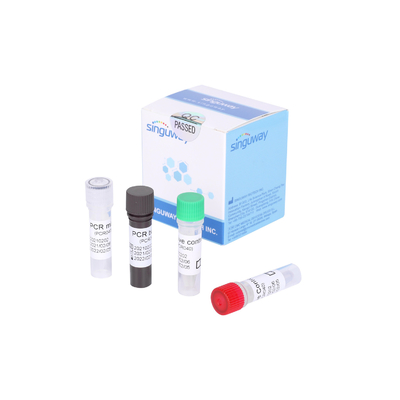 Szybkie wykrywanie zestawu testowego Covid 19 PCR w czasie rzeczywistym w ciągu 30 minut