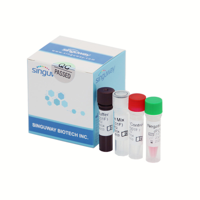 High Precision Covid-19 Czas rzeczywisty PCR Wykrycie Zestaw Sonda fluorescencyjna 50 kopii/ml