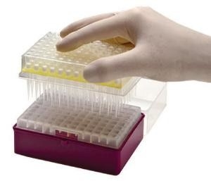 Laboratoryjne zużywalne końcówki do pipet PCR Jednorazowe końcówki do mikropipet 10-1250 μL