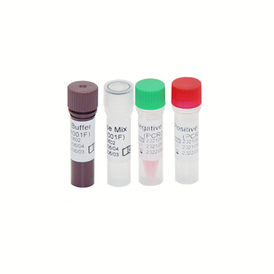 HBV HCV HIV-1 Genome RT PCR Test Kit Wysoka czułość 30 IU/ML